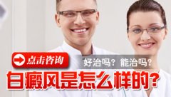 Ҫ˽缲